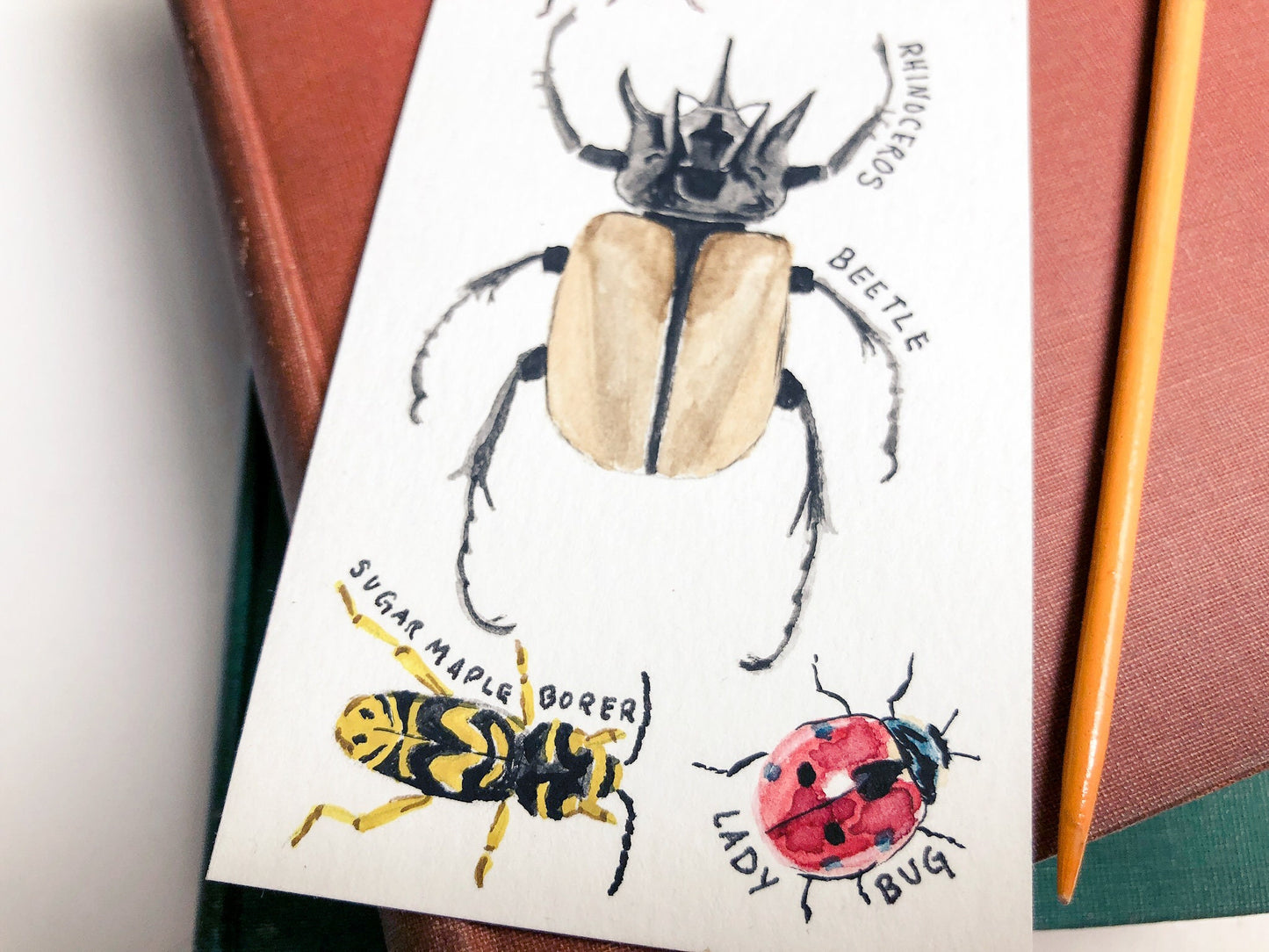 Insects bookmark. Mini bug painting. Field guide and nature art for bookworms. Watercolor bee grasshopper ant beetle ladybug