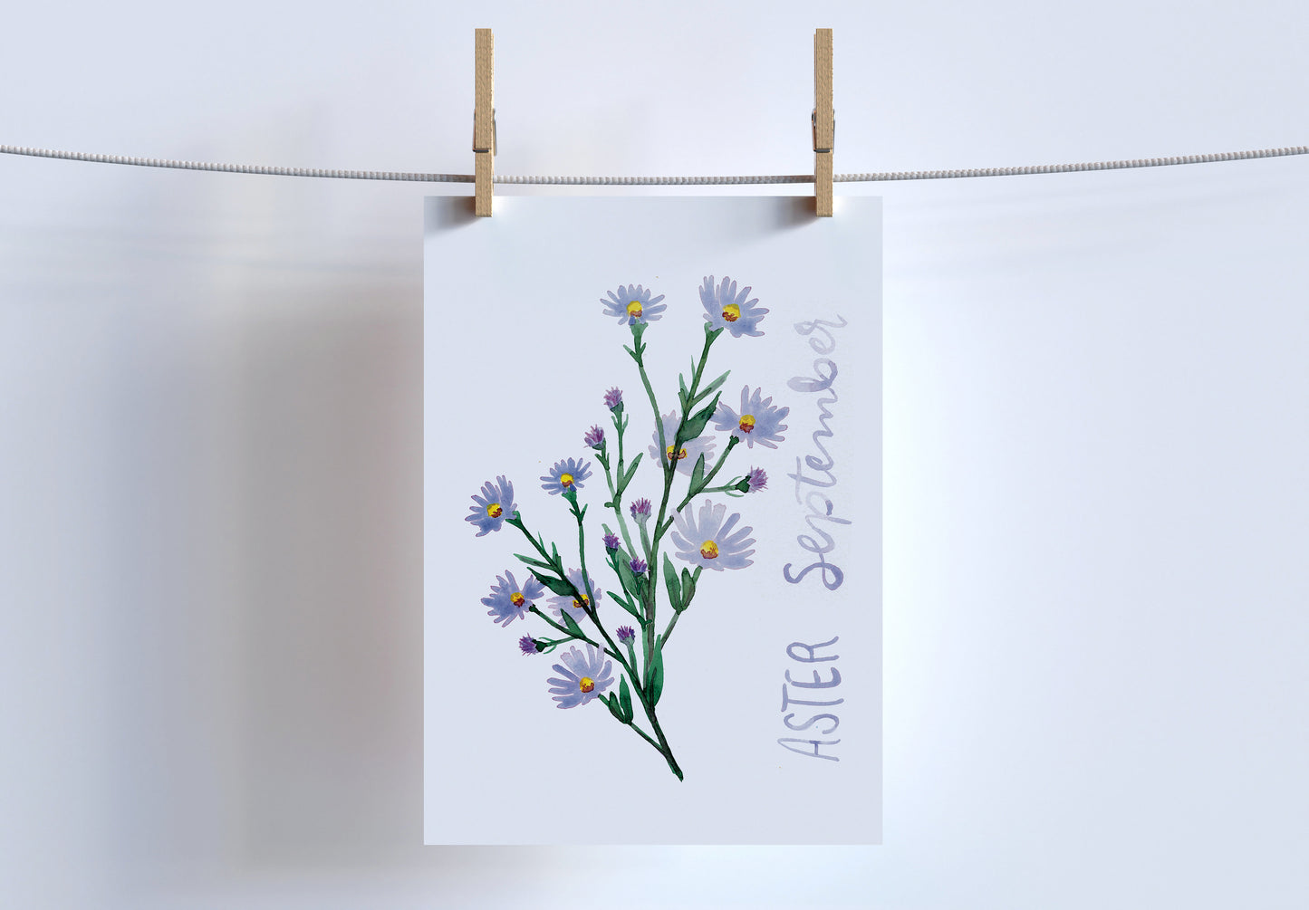 Aster birth flower simple watercolor print | September birthday month art | Mother's Day gift for her