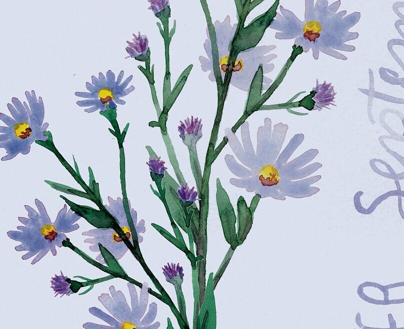 Aster birth flower simple watercolor print | September birthday month art | Mother's Day gift for her