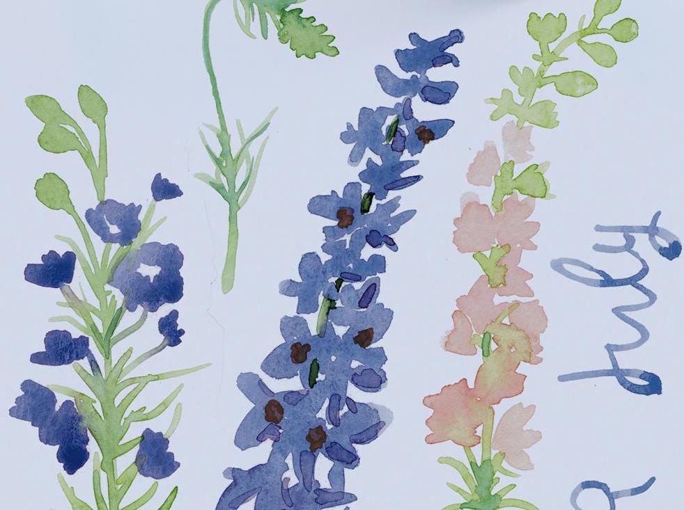 Larkspur birth flower simple watercolor print | July birthday month art | Mother's Day gift for her