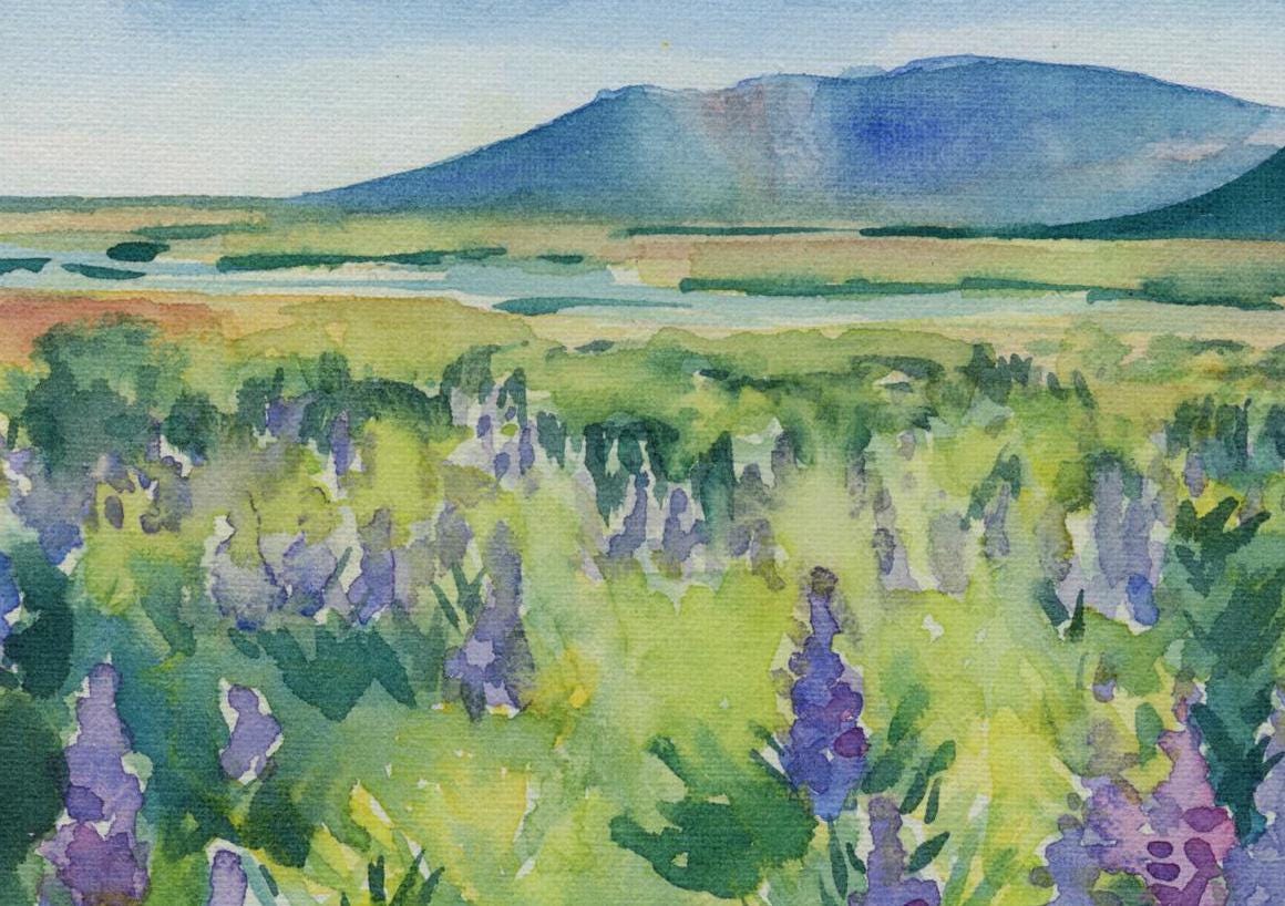 Lupine field in Iceland watercolor print | Field of flowers landscape painting | Hiking and travel art