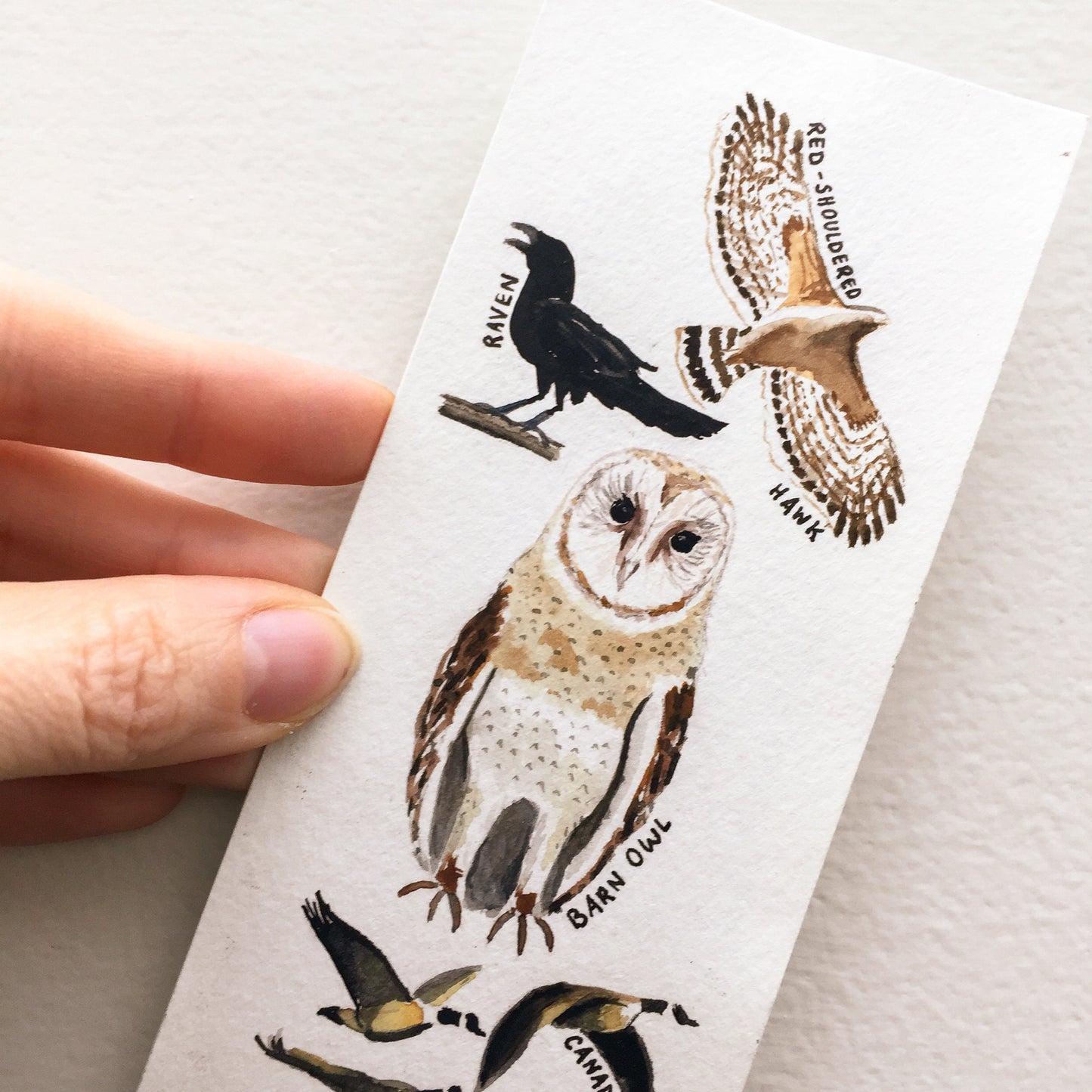 Hand-Painted Bird Bookmarks | Watercolor Owl, Raven, Hawk, Sparrow, Kingfisher | Wildlife Lover's Gift