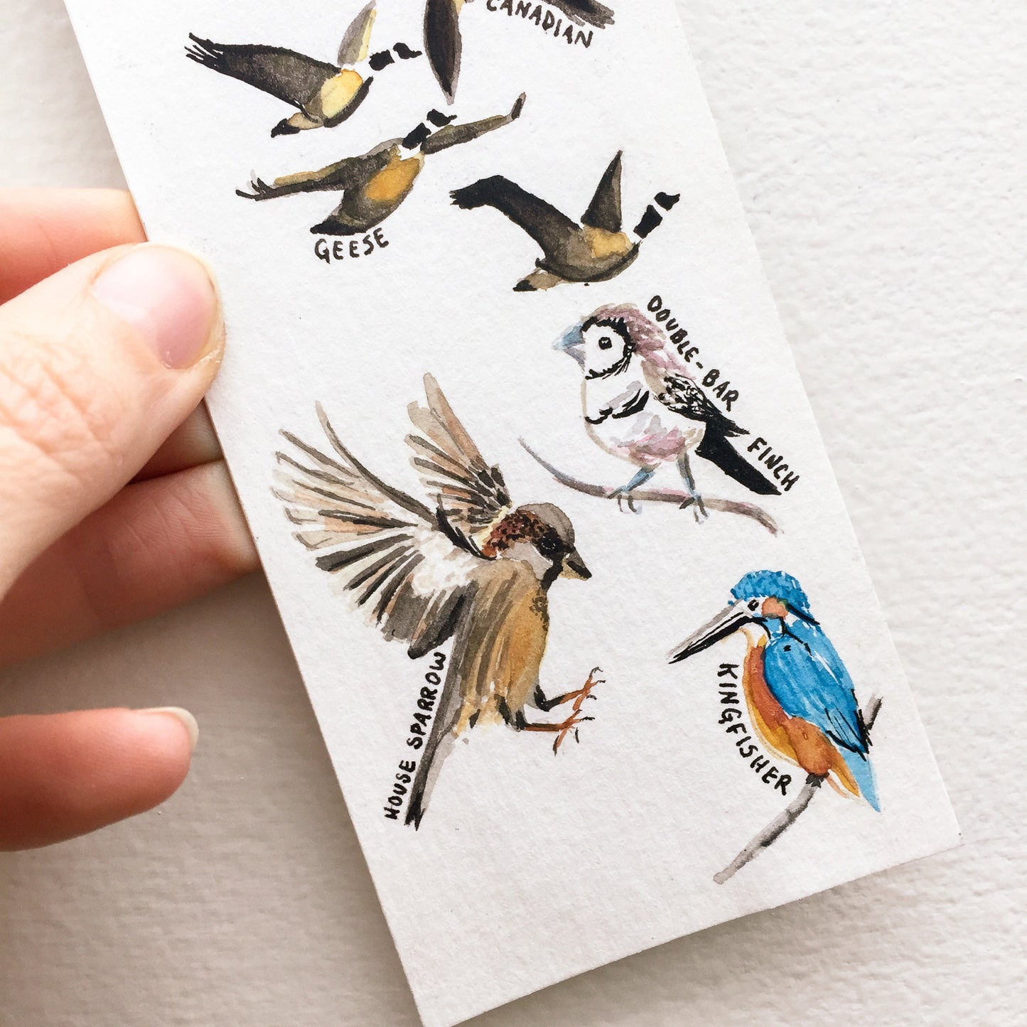 Hand-Painted Bird Bookmarks | Watercolor Owl, Raven, Hawk, Sparrow, Kingfisher | Wildlife Lover's Gift