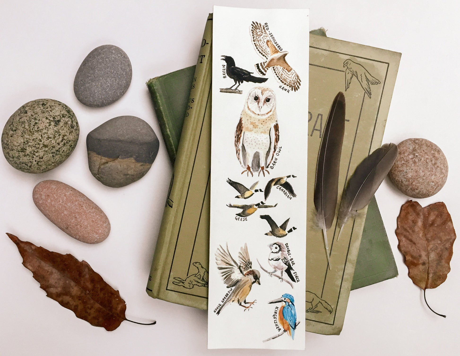 Hand-Painted Bird Bookmarks | Watercolor Owl, Raven, Hawk, Sparrow, Kingfisher | Wildlife Lover's Gift