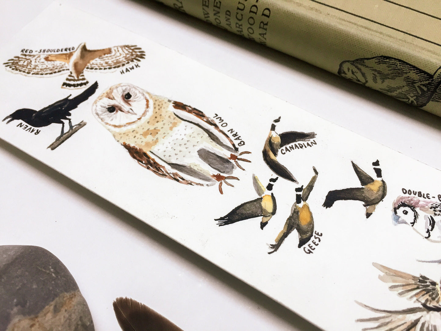 Hand-Painted Bird Bookmarks | Watercolor Owl, Raven, Hawk, Sparrow, Kingfisher | Wildlife Lover's Gift