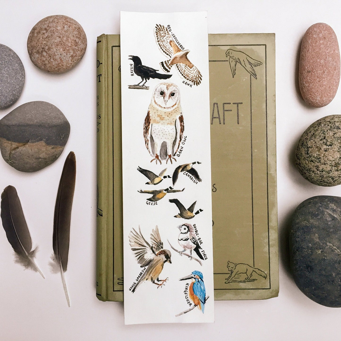 Hand-Painted Bird Bookmarks | Watercolor Owl, Raven, Hawk, Sparrow, Kingfisher | Wildlife Lover's Gift