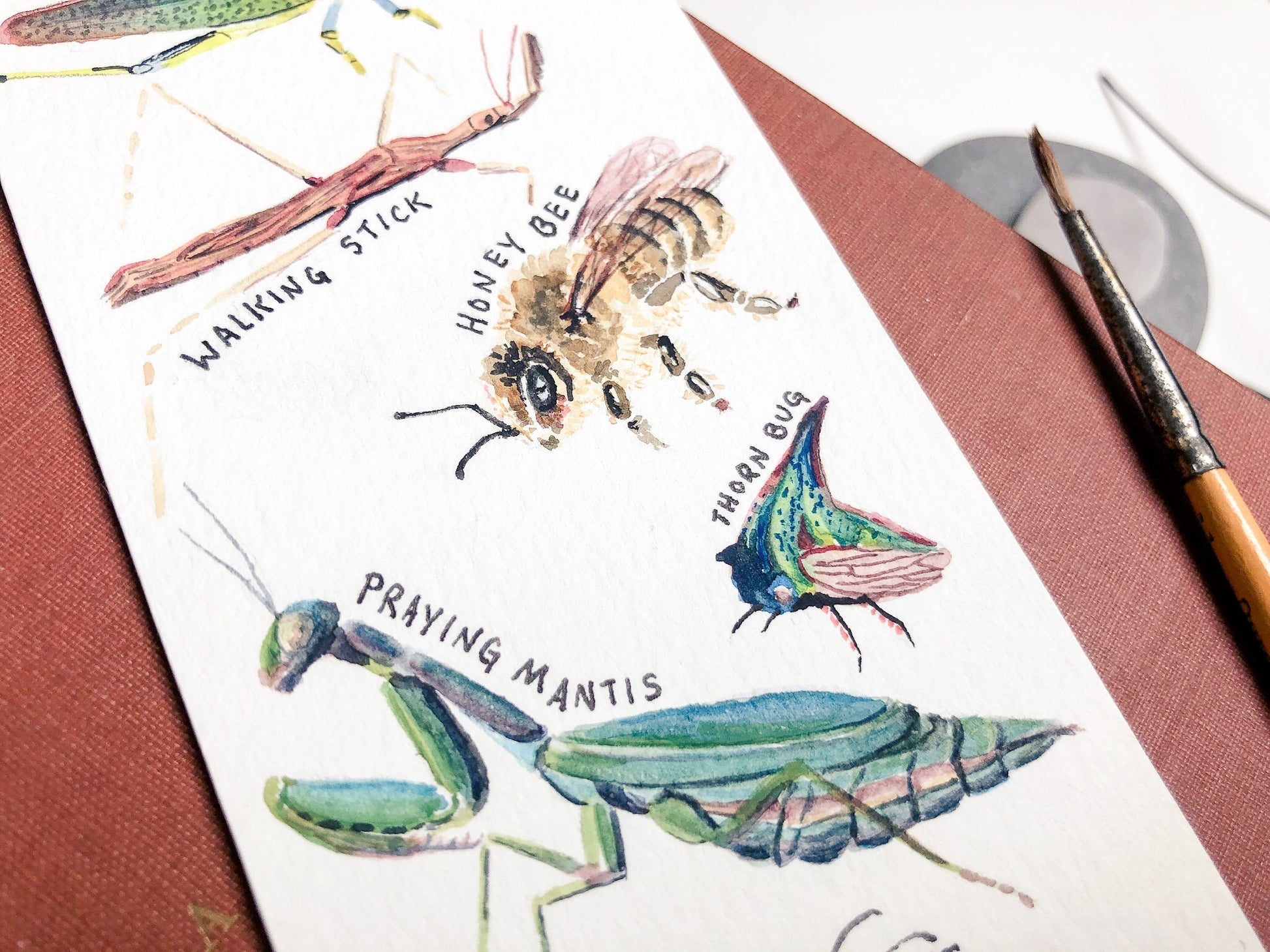 Insects bookmark. Mini bug painting. Field guide and nature art for bookworms. Watercolor bee grasshopper ant beetle ladybug