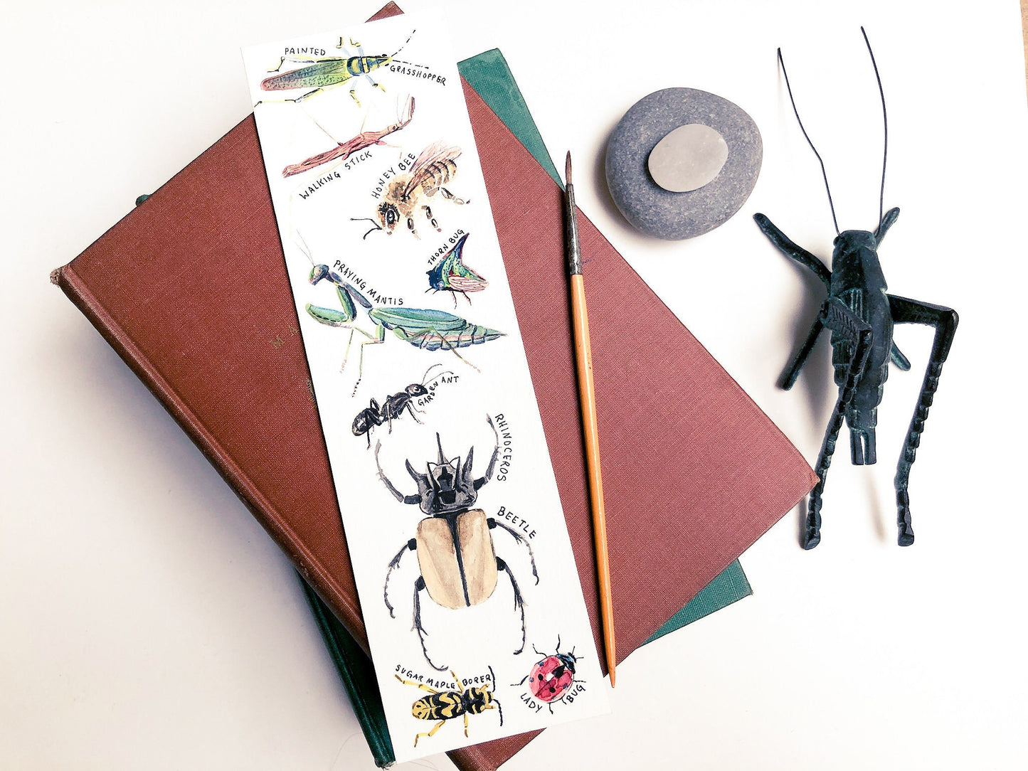 Insects bookmark. Mini bug painting. Field guide and nature art for bookworms. Watercolor bee grasshopper ant beetle ladybug