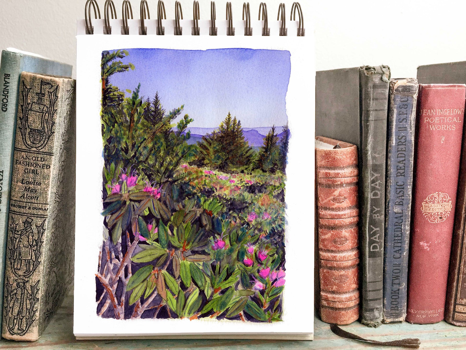 Rhododendron Gardens Roan Mountain watercolor print | Tennessee mountain landscape painting | Hiking art