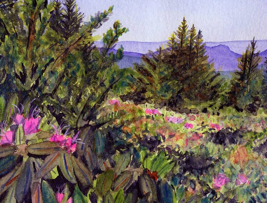 Rhododendron Gardens Roan Mountain watercolor print | Tennessee mountain landscape painting | Hiking art