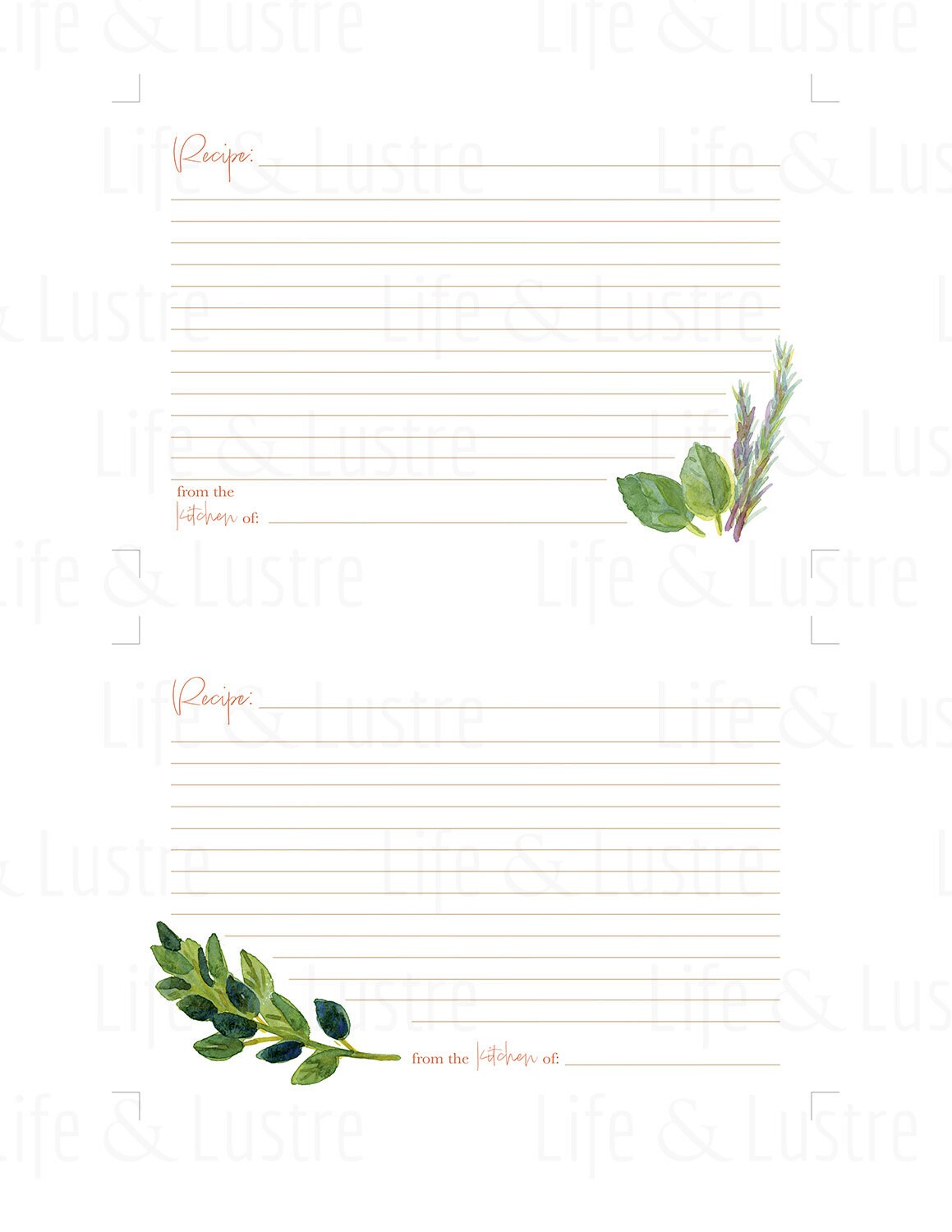 Easy Printable Basil & Oregano Recipe Card . Simple Digital Download . Botanical Cooking Notecard . Watercolor Herbs Index Card for Bakers