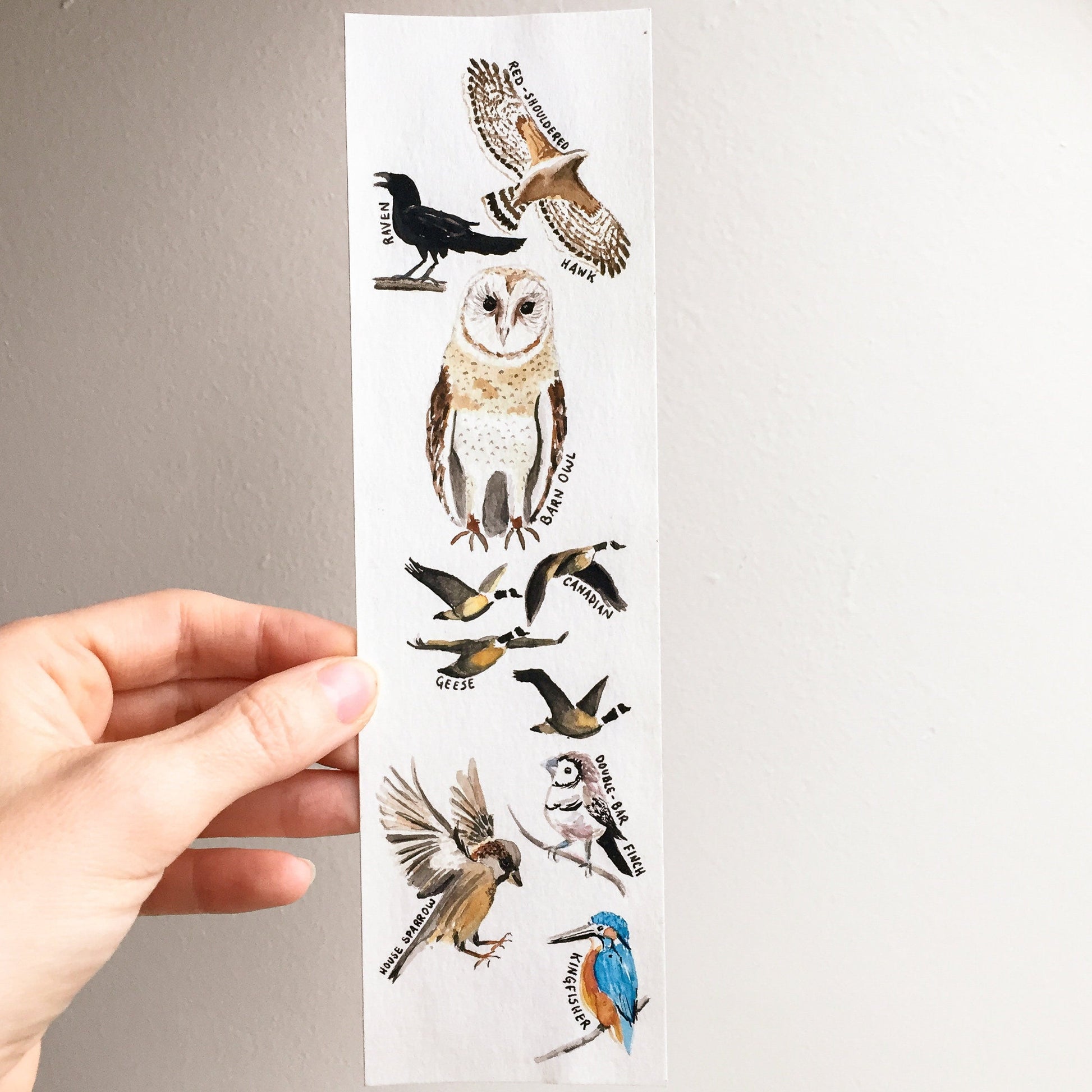 Hand-Painted Bird Bookmarks | Watercolor Owl, Raven, Hawk, Sparrow, Kingfisher | Wildlife Lover's Gift